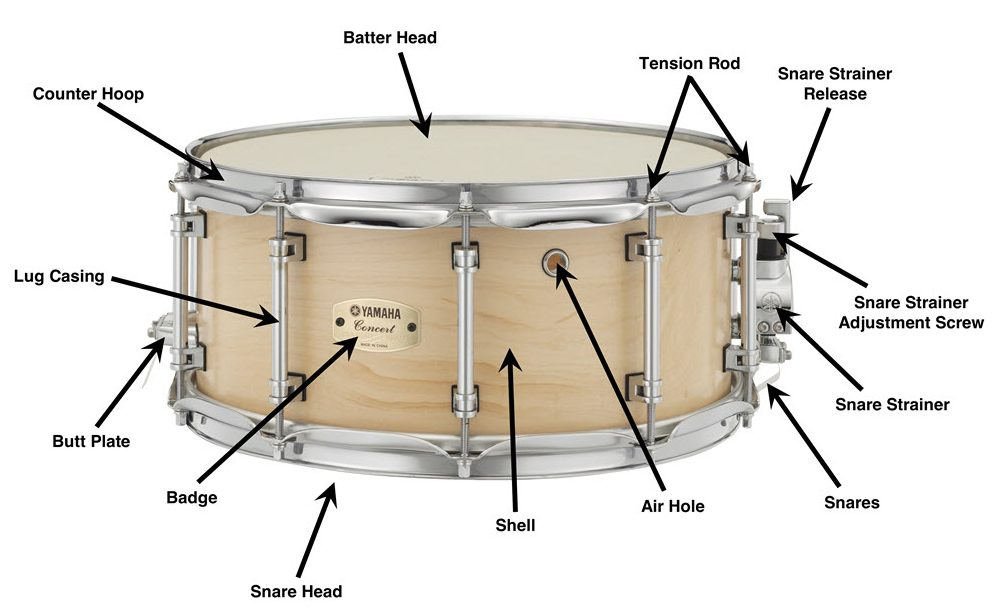 https://hub.yamaha.com/drums/anatomy-of-a-snare-drum/ https://hub.yamaha.com/drums/anatomy-of-a-snare-drum/