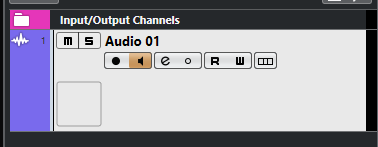 스피커 모양의 버튼이 Input Monitoring버튼이다.